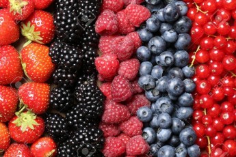 22112370-berry-fruits-like-strawberries-blueberries-red-currants-raspberries-and-blackberries-in-a-row-1.jpg