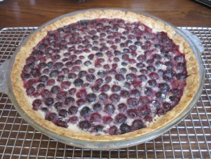 Blueberry-Custard-pie2.jpg