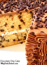 Chocolate-Chip-Cake-Image.jpg
