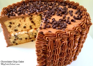 Chocolate-Chip-Cake-Recipe-Image.jpg