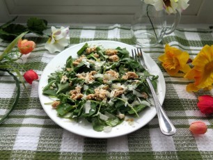 Flaked-Salmon-Arugula-Spinach-Watercress-Salad-plate-1280x960-2.jpg