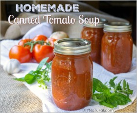 Homemade-Canned-Tomato-Soup-Recipe.jpg