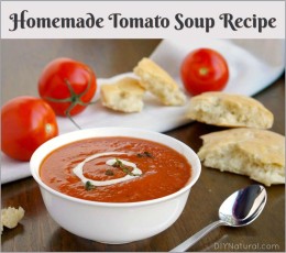 Homemade-Tomato-Soup-Recipe.jpg