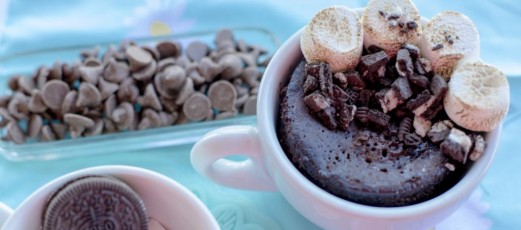 S’mores-Chocolate-Mug-Cake_02.jpeg