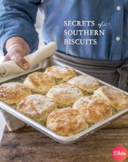 biscuit-ebook-cover-1.jpg