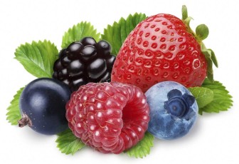 edible-berries.jpg