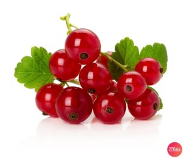 red_current_berries_isolated.jpg