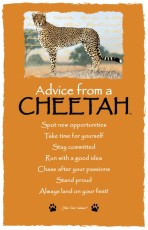 Best Cheetah Quotes and sayings