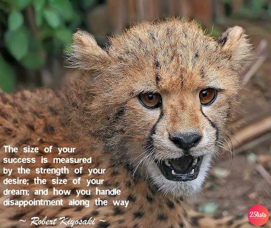 List : Best Cheetah Quotes and sayings (with pictures)