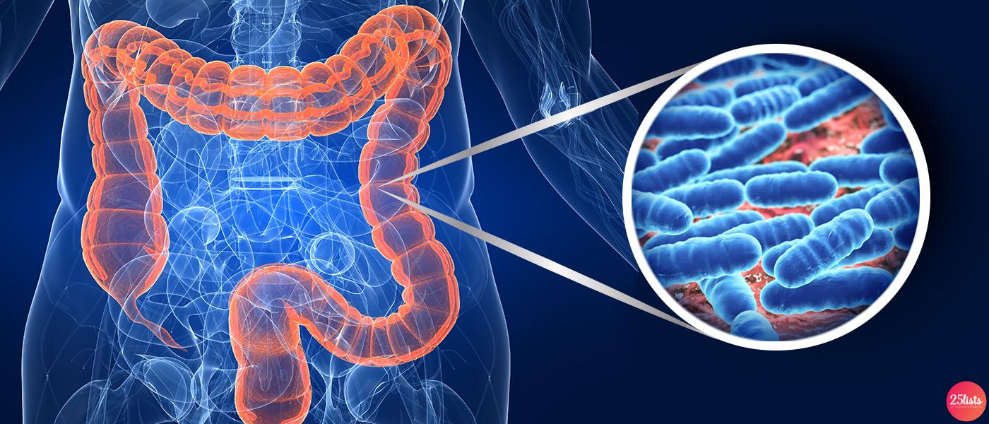 Gut microbiota the organ of our body that 'does not belong to us