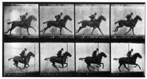 Who was Eadweard Muybridge